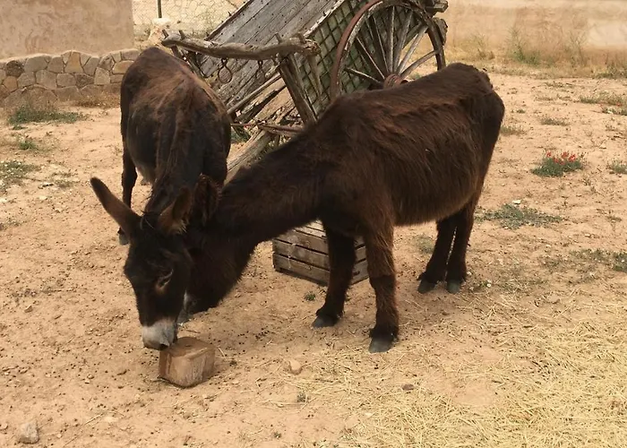 Holiday home El Chozo *