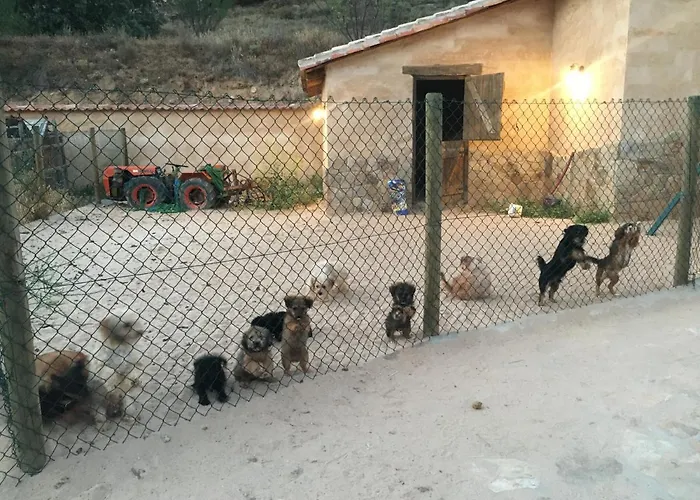 Holiday home El Chozo *